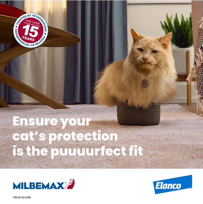 Milbemax Deworming Tablets for Kittens & Small Cats perfect protection information picture