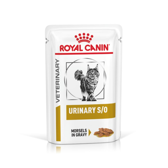 Buy Royal Canin Urinary S/O Wet Cat Food Online ePETstore