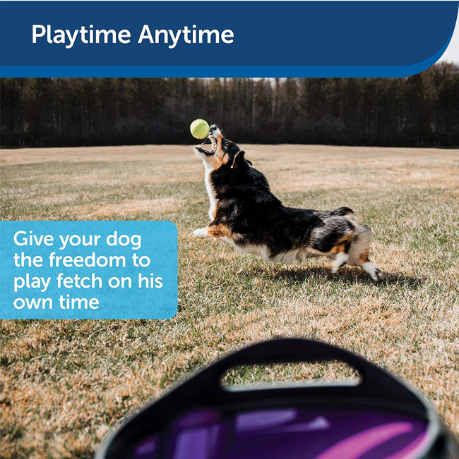 Automatic Ball Launcher information picture of letting your dog play on its own