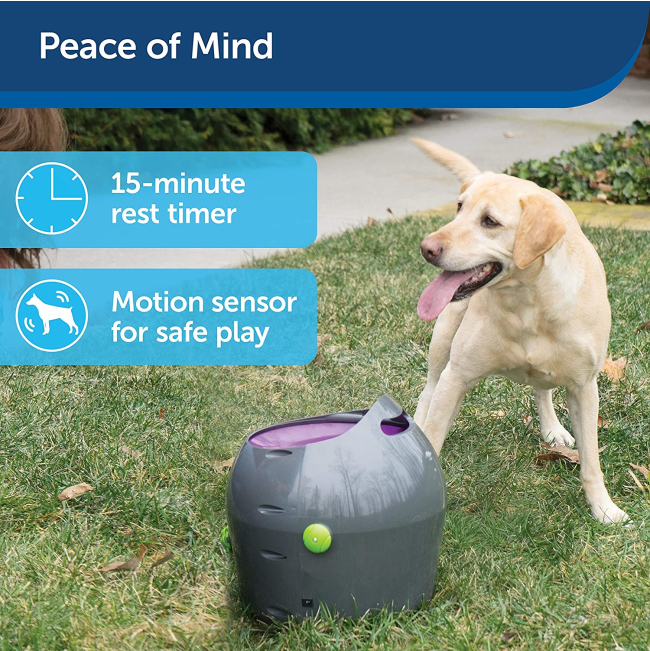 Automatic Ball Launcher peace of mind 15 min play with a safe motion detector