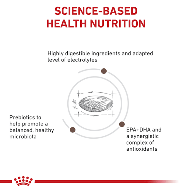 Royal Canin Gastro Intestinal Adult Dog Food science-based health nutrition