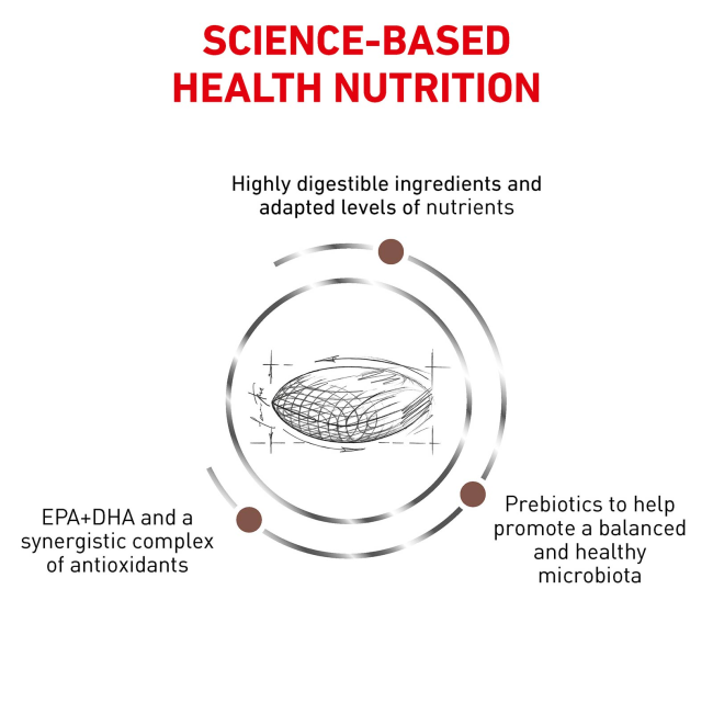Royal Canin Gastro-Intestinal Adult Cat Food science-based health nutrition