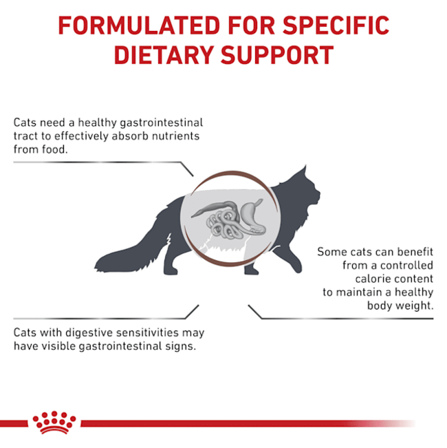 Royal Canin Gastro-Intestinal Moderate Calorie Adult Cat Food formulated dietary support