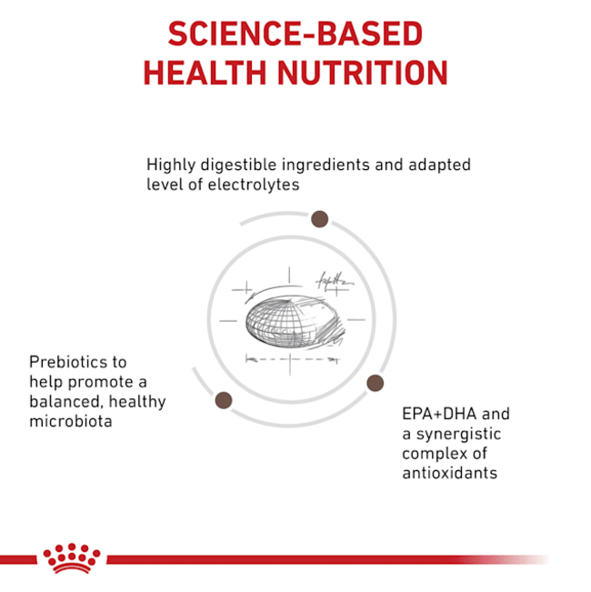 Royal Canin Gastro-Intestinal Moderate Calorie Adult Cat Food science-based Health nutrition