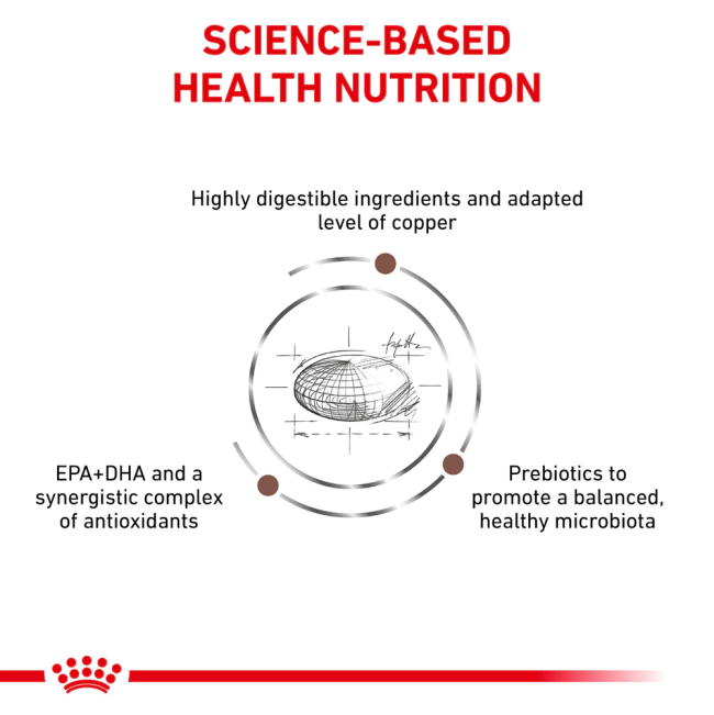 Royal Canin Hepatic Cat Food science-based health nutrition