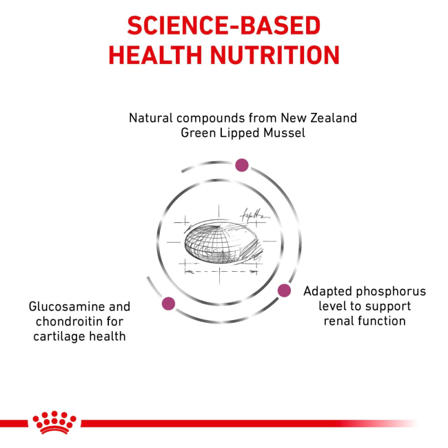 Royal Canin Mobility Adult Cat Food science-based health nutrition