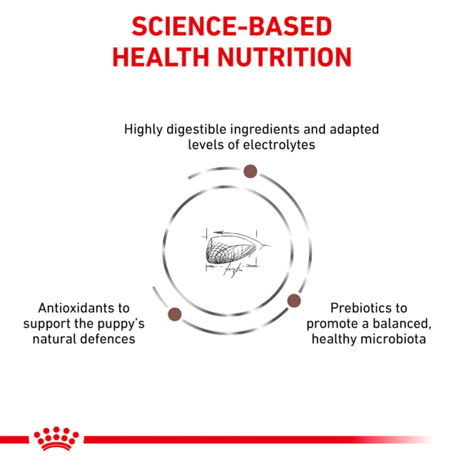 Royal Canin Puppy Gastro Intestinal Dog Food science-based health nutrition