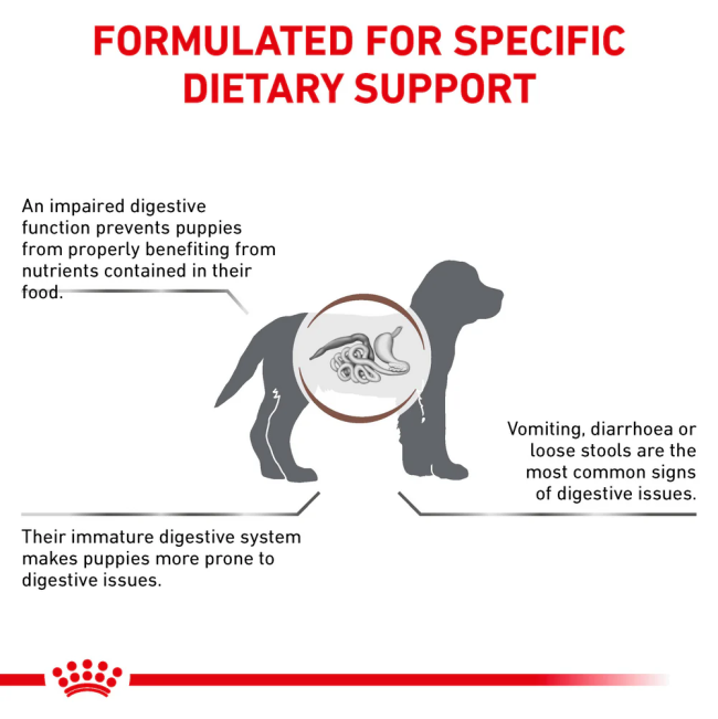 Royal Canin Puppy Gastro Intestinal Dog Food formulated dietary support