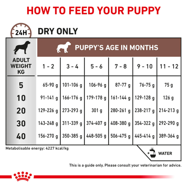 Royal Canin Puppy Gastro Intestinal Dog Food feeding guidelines
