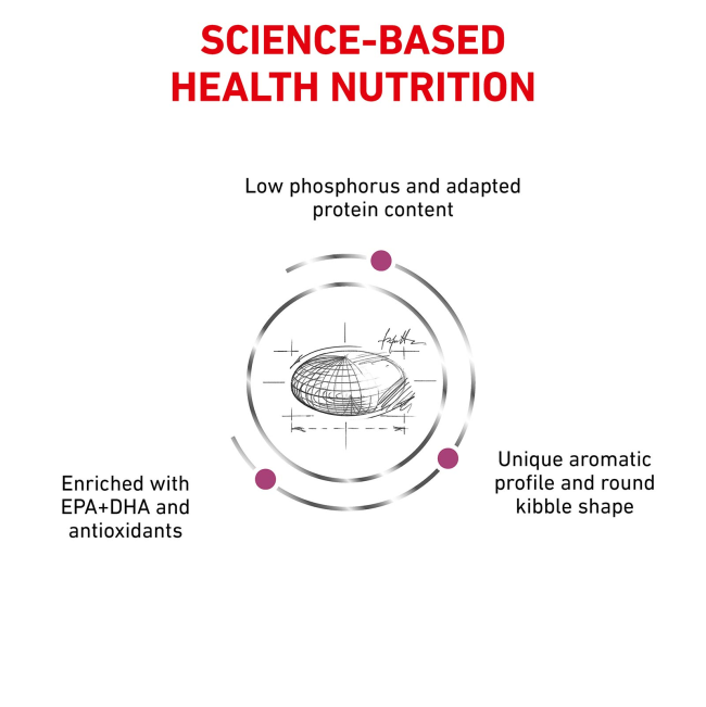Royal Canin Renal Adult Cat Food science-based health nutrition