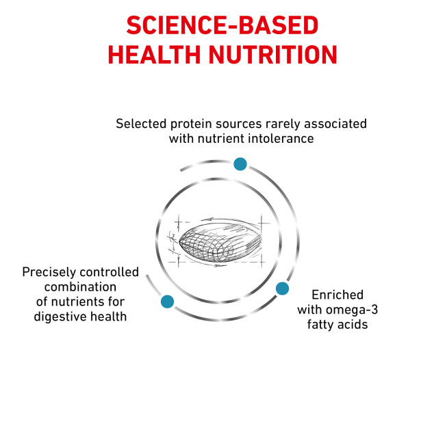 Royal Canin Skin Care Adult Dog Food science-based health nutrition