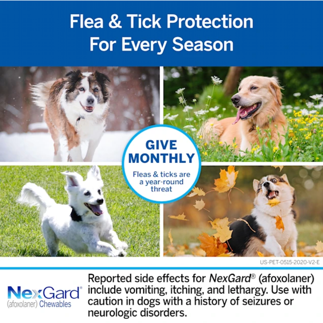 NexGard Chewable Tick & Flea Tablet for Dogs once a month application