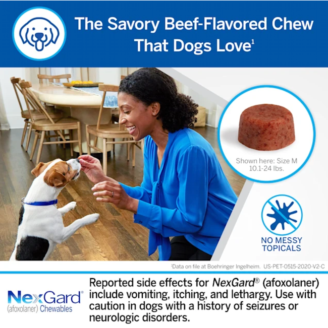 NexGard Chewable Tick & Flea Tablet for Dogs beef flavored chew