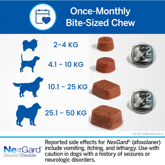 NexGard Chewable Tick & Flea Tablet for Dogs actual chew size versus a two rand coin