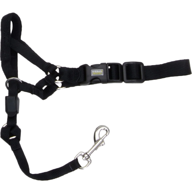 Walk 'n Train Dog Halter