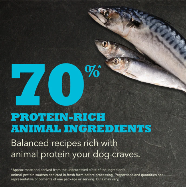 Acana Regionals Pacifica Dog Food rich in protein