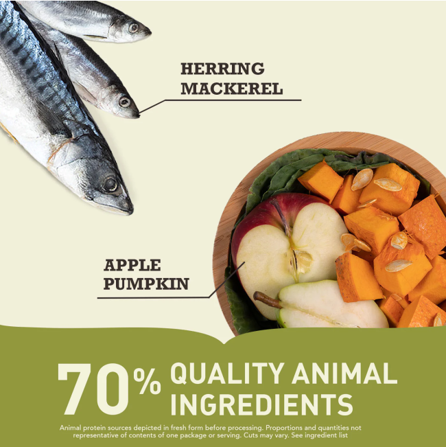 Acana Regionals Pacifica Dog Food herring and apple quality ingredients