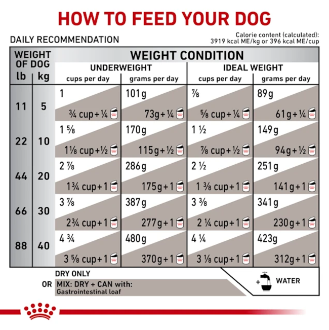 Royal Canin Gastro Intestinal Adult Wet Dog Food feeding guidelines
