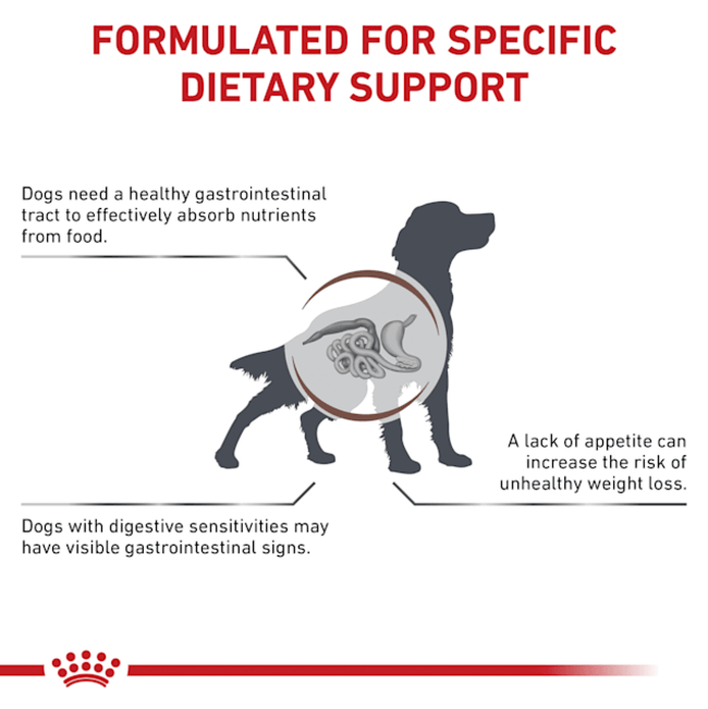 Royal Canin Gastro Intestinal Adult Wet Dog Food formulated dietary support