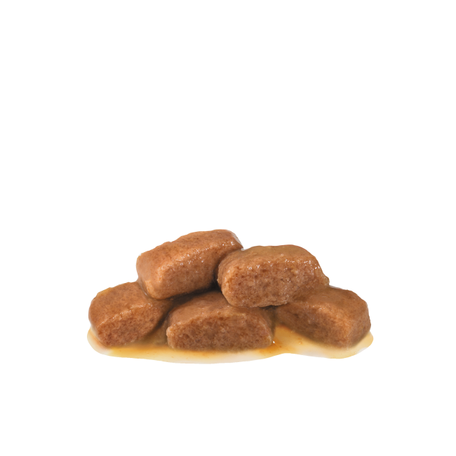 Royal Canin Gastro-Intestinal Adult Wet Cat Food Pouch actual food in gravy