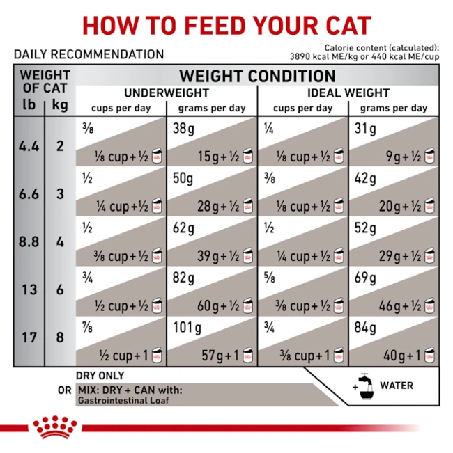 Royal Canin Gastro-Intestinal Adult Wet Cat Food Pouch feeding guidelines