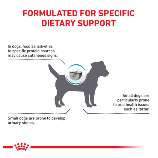 Royal Canin Hypoallergenic Adult Wet Dog Food formulated dietary support