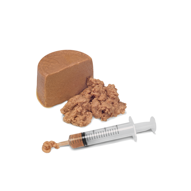 Royal Canin Recovery Tin Adult Wet Dog & Cat Food actual food in syringe