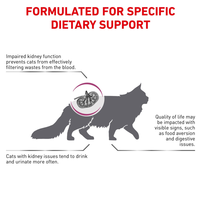 Royal Canin Renal Adult Wet Cat Food Pouch formulated dietary support
