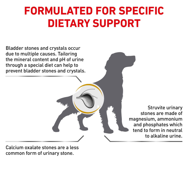 Royal Canin Urinary S/O Wet Dog Food formulated dietary support