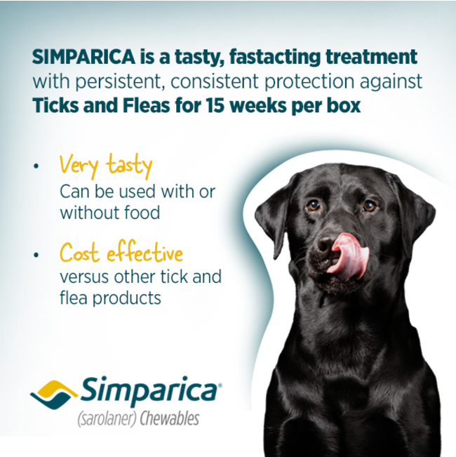 Simparica Chewable Tick & Flea Tablets for Dogs tasty chew for dogs