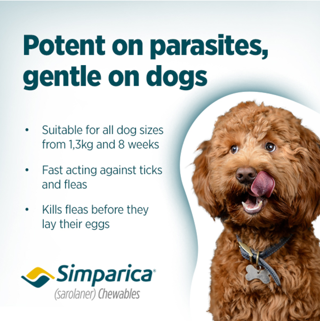 Simparica Chewable Tick & Flea Tablets for Dogs potent on parasites, gentle on dogs