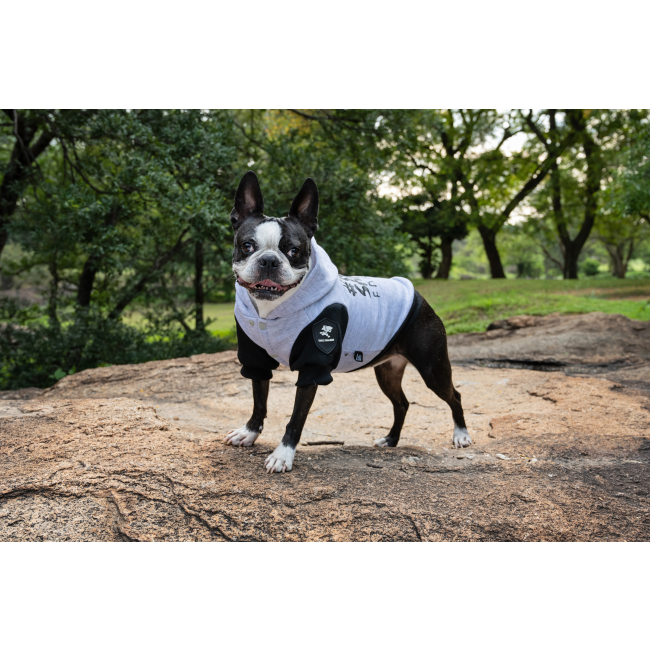 Dog Days Official Sharks Rugby Dog Hoodie lifestyle with black and white dog