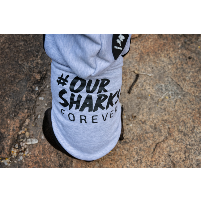 Dog Days Official Sharks Rugby Dog Hoodie close up lifestyle on black dog