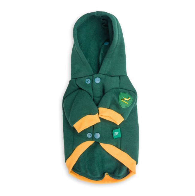 Dog Days Official Boks Rugby Dog Hoodie back of hoodie green and gold