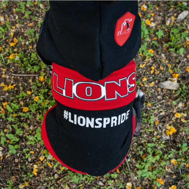 Dog Days Official Lions Pride Rugby Dog Hoodie close up of Lions logo