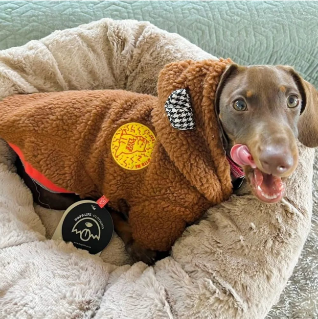 Calming Cuddler Pet Bed with brown sausage dog