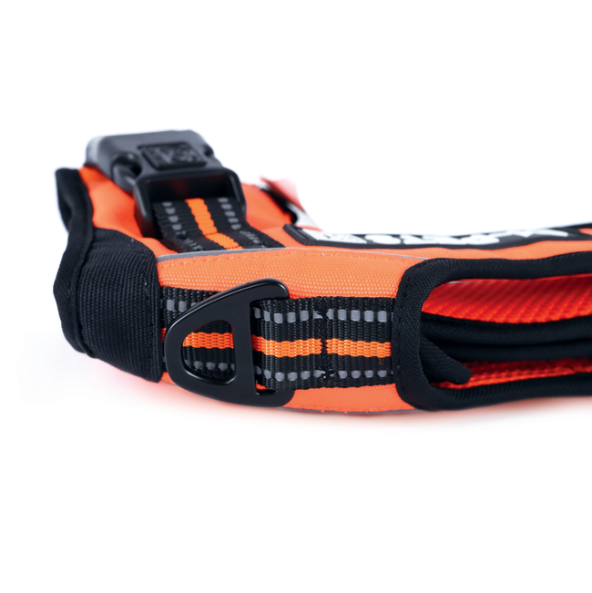 Triangle Walking Dog Harness orange and black top view