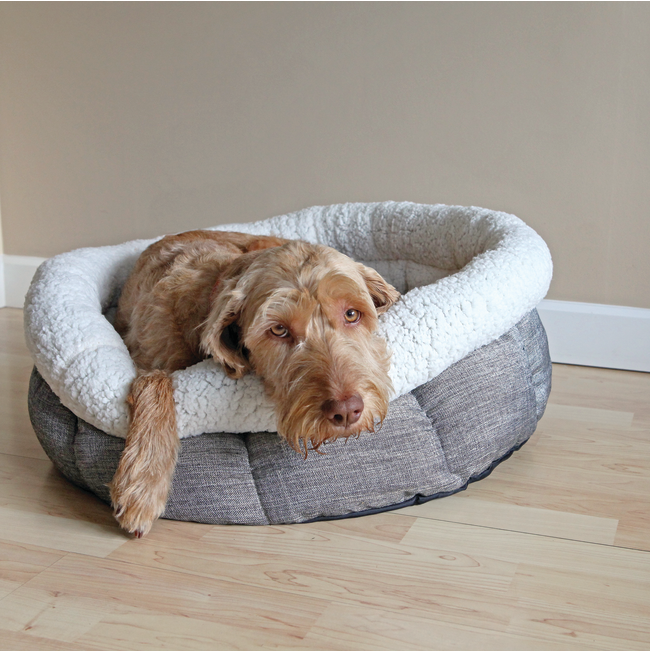 Deep Tweed Teddy Bear Pet Bed lifestyle with brown dog lying down