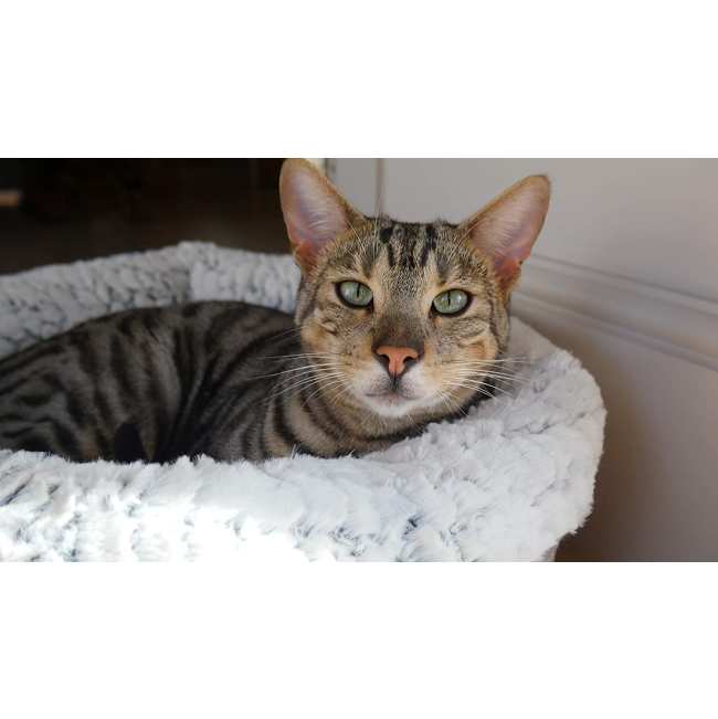 Plush Fleece-Lined Pet Bed lifestyle with brown cat