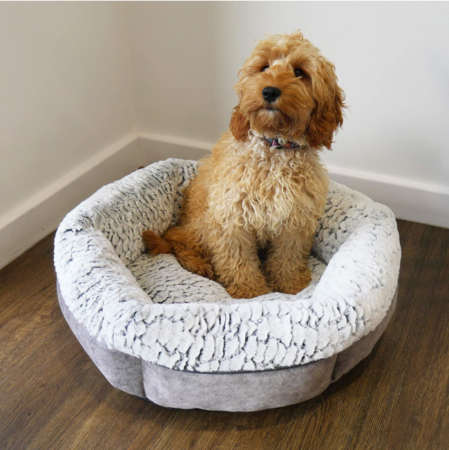 Plush Fleece-Lined Pet Bed lifestyle with brown dog