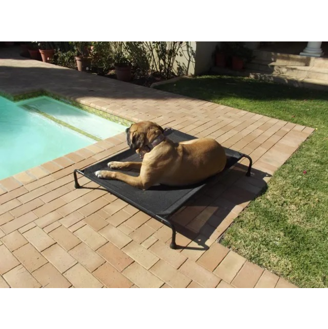 Hound Sleeper Patio Raised Dog Bed lifestyle with large brown dog