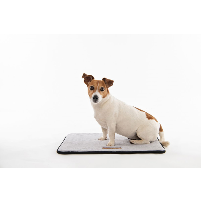 Scilly Mat for Dogs lifestyle with jack russel