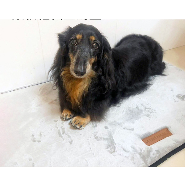 Scilly Mat for Dogs lifestyle with black and brown sausage dog