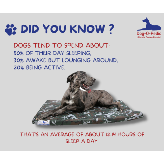 Dog-O-Pedic Memory Foam Dog Mattress did you know how much your dog sleeps