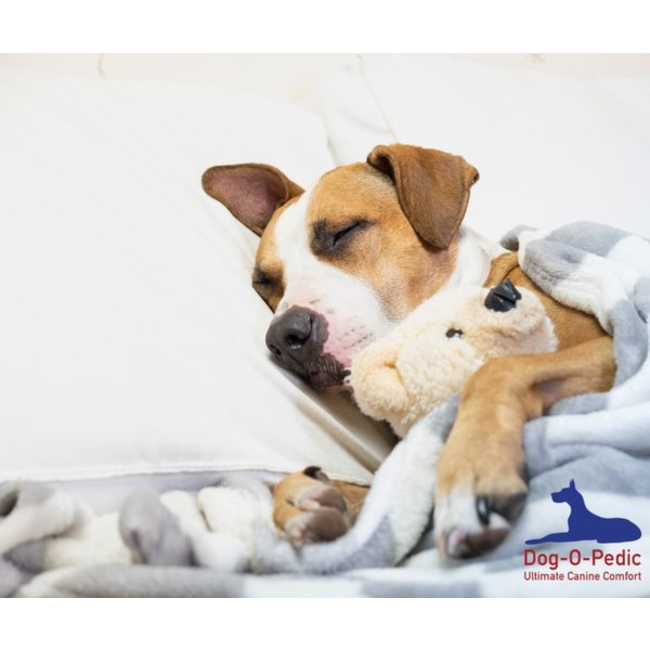 Dog-O-Pedic Memory Foam Dog Mattress with dog getting peaceful sleep