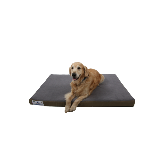 Dog-O-Pedic Memory Foam Dog Mattress lifestyle with golden retriever