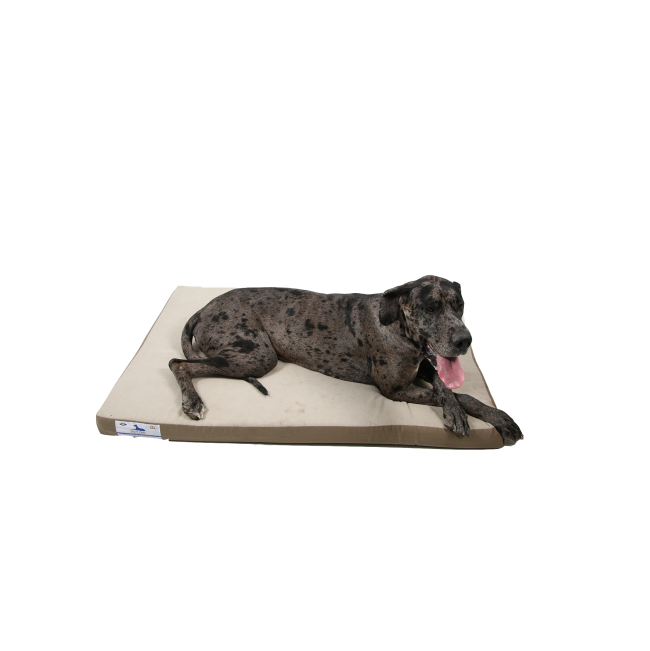 Dog-O-Pedic Memory Foam Dog Mattress lifestyle with great dane