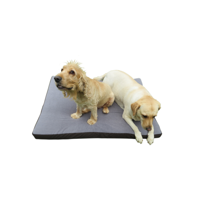 Dog-O-Pedic Memory Foam Dog Mattress lifestyle with 2 large breed dogs