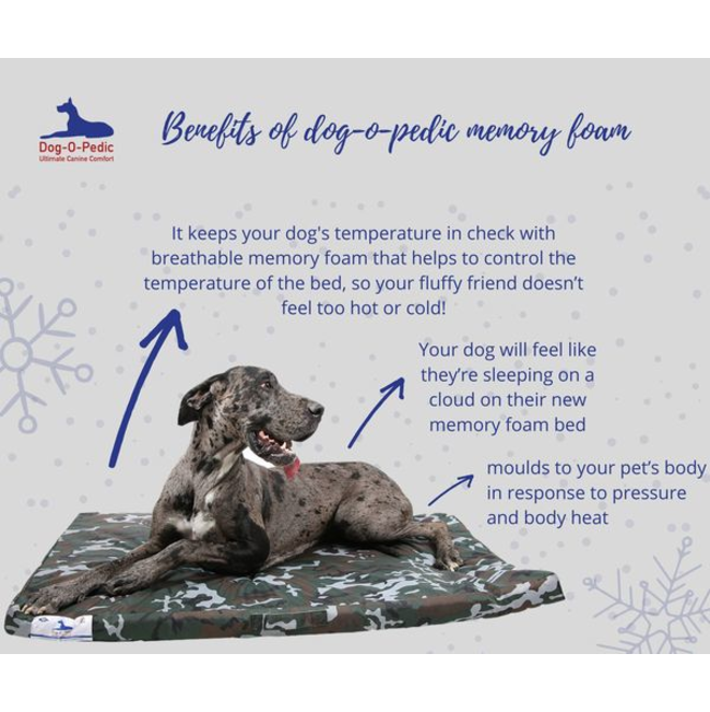 Dog-O-Pedic Orthopaedic Throne Dog Bed benefits of memeory foam