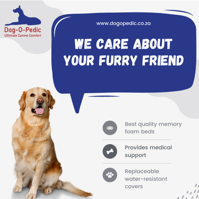 Dog-O-Pedic Orthopaedic Throne Dog Bed information image why to use dog-o-pedic